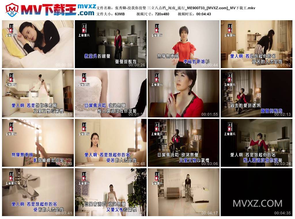 张秀卿-没我你没娶 三立八点档_闽南_流行_ME900733
